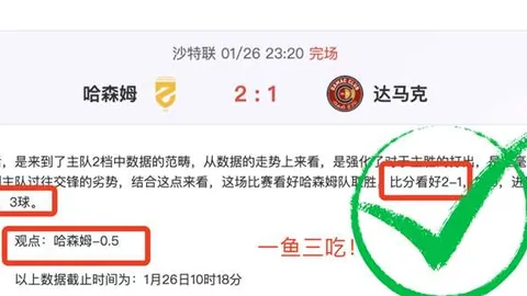 大乐透期号专家质合分析：飓风队主场高门槛解析
