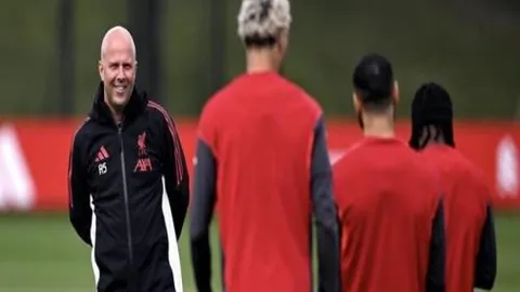 南特与里尔 第26轮 法甲争霸战